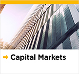 Capital markets insights